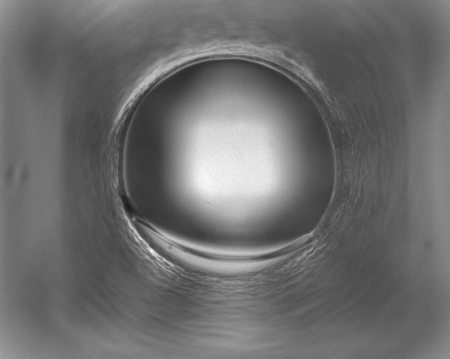 X0000052991504200507221207