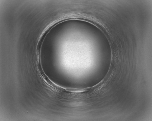 X0000052991509200507221207