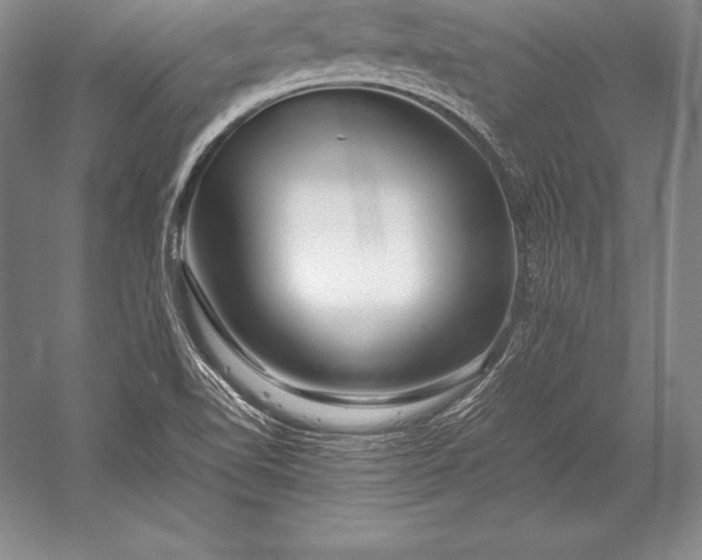 X0000052991510200507221207