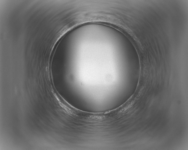 X0000052991513200507221207