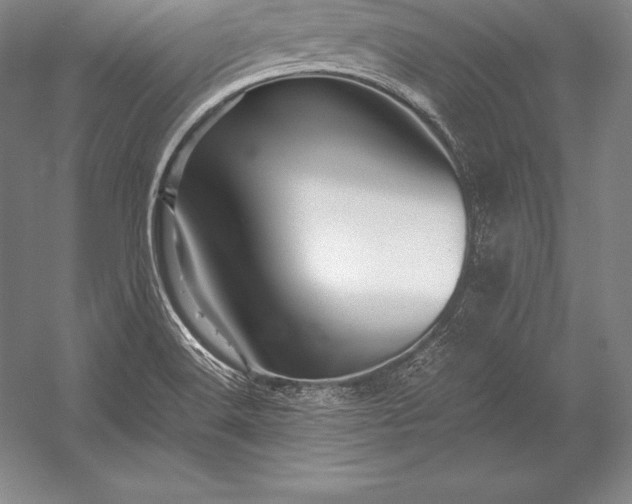 X0000052991516200507221207