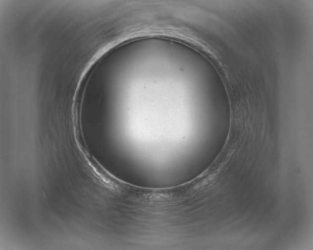 X0000052991517200507221207
