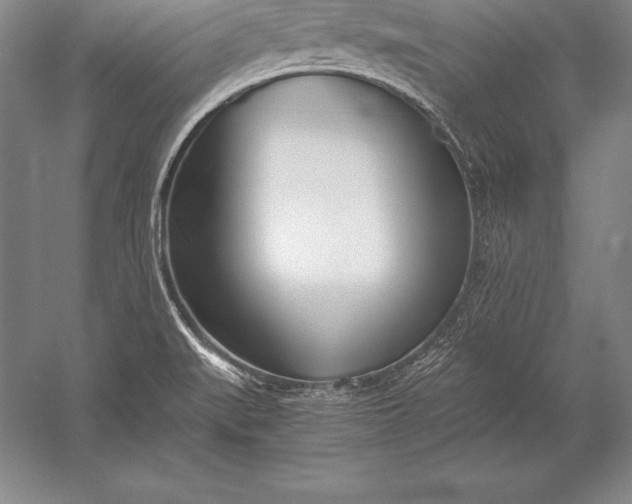 X0000052991519200507221207