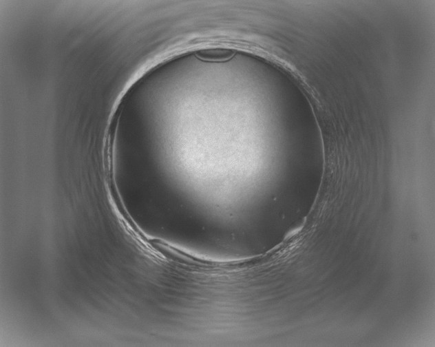 X0000052991522200507221207