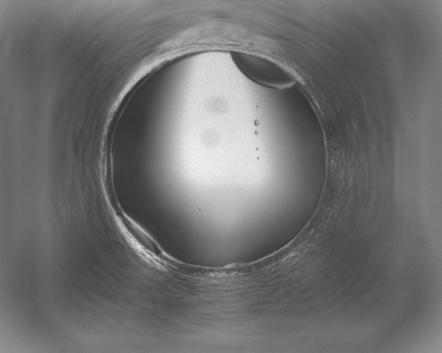 X0000052991523200507221207