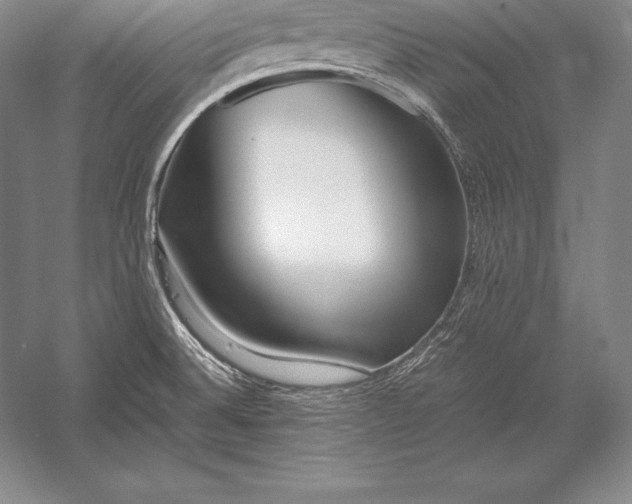 X0000052991524200507221207
