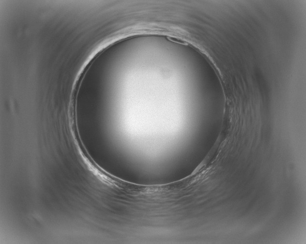 X0000052991531200507221207
