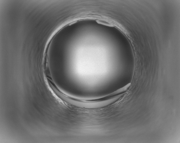 X0000052991536200507221207