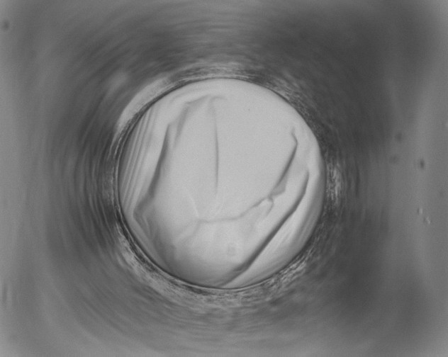 X0000052990004200507291629