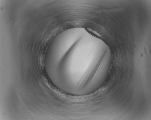 X0000052990044200507291628