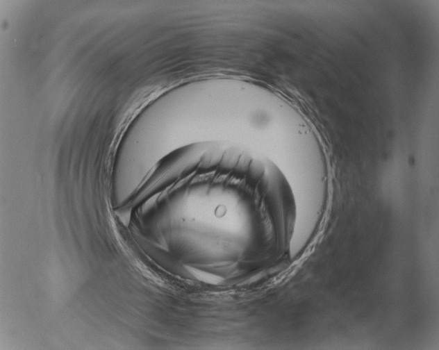 X0000052990049200507291627