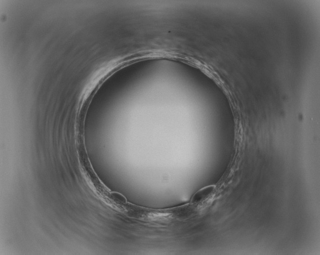 X0000052990055200507291627