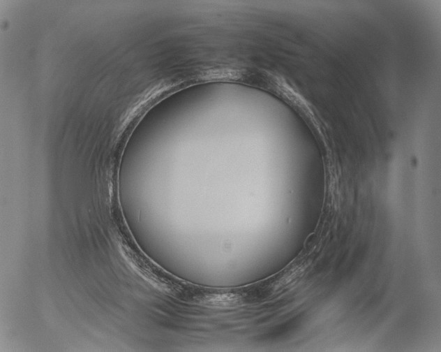 X0000052990059200507291627