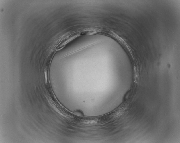 X0000052990061200507291627