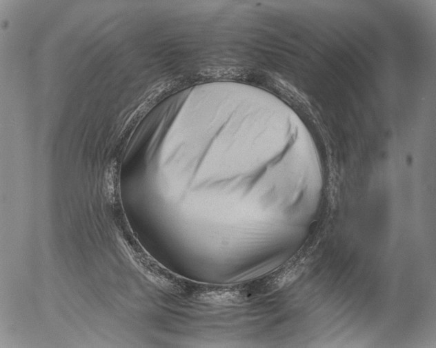 X0000052990065200507291627