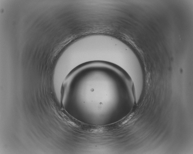 X0000052990068200507291627