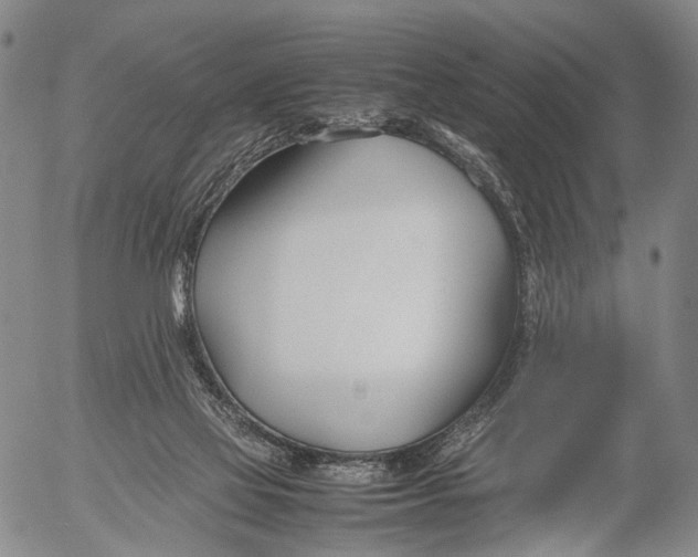 X0000052990069200507291627