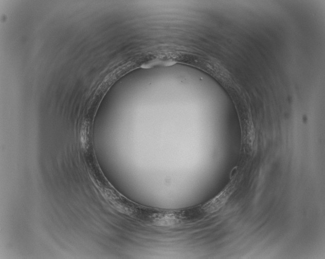 X0000052990074200507291627