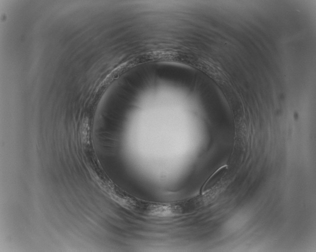 X0000052990083200507291628