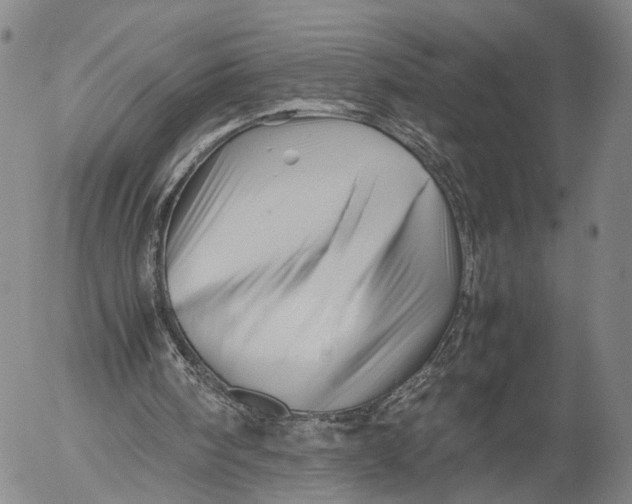 X0000052990098200507291627