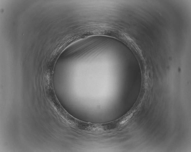 X0000052990113200507291627