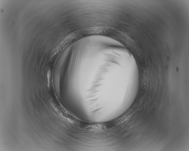 X0000052990118200507291627