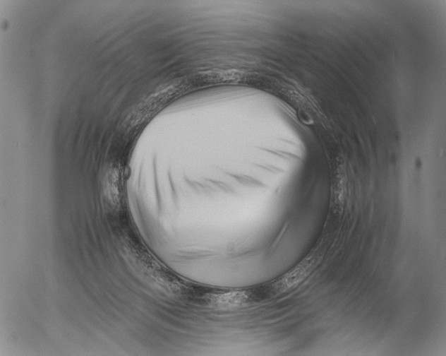 X0000052990122200507291627