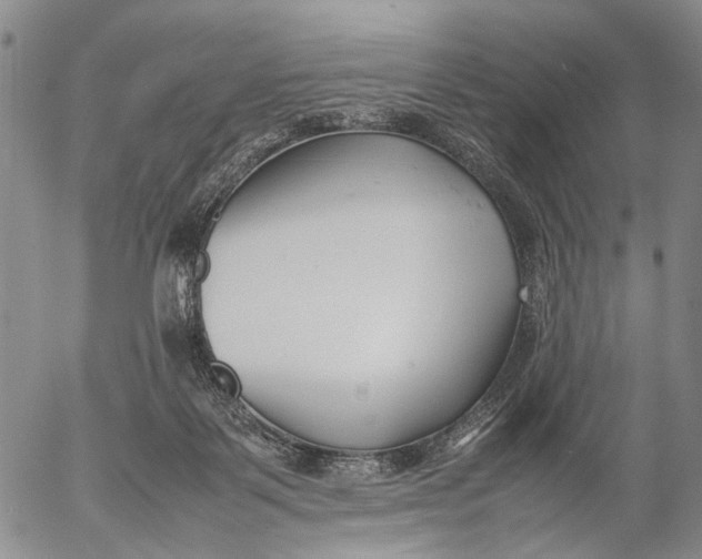 X0000052990123200507291627