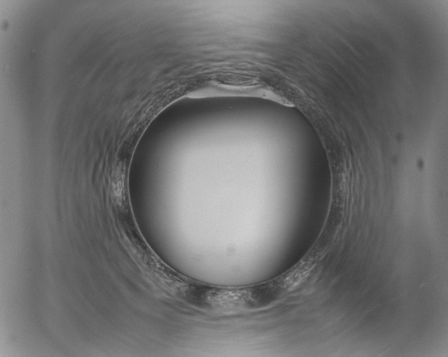 X0000052990129200507291626