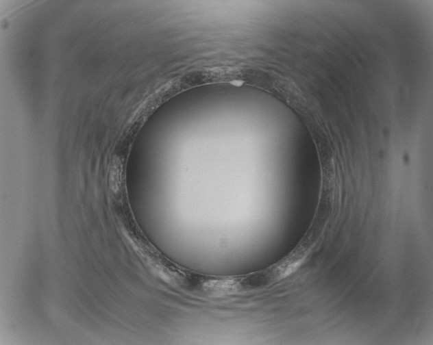 X0000052990133200507291626