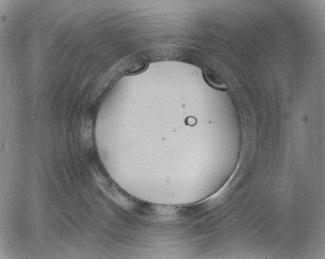 X0000052990144200507291626