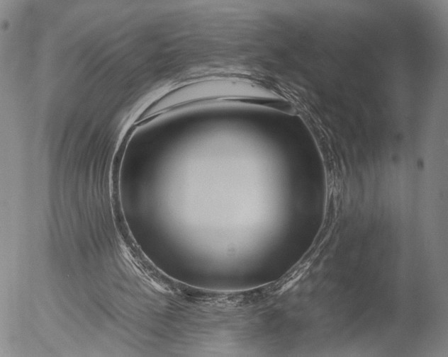 X0000052990148200507291626