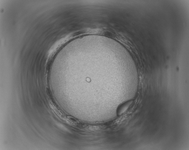 X0000052990149200507291626