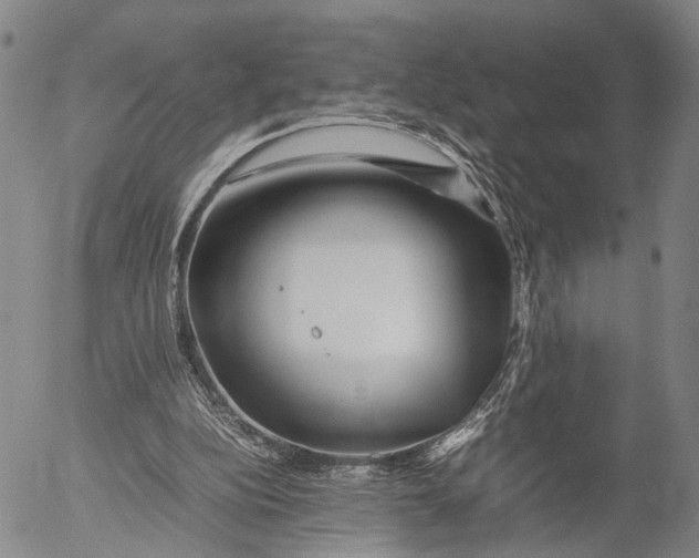 X0000052990152200507291626