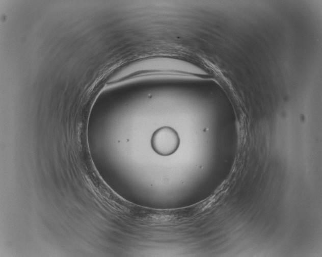 X0000052990154200507291626