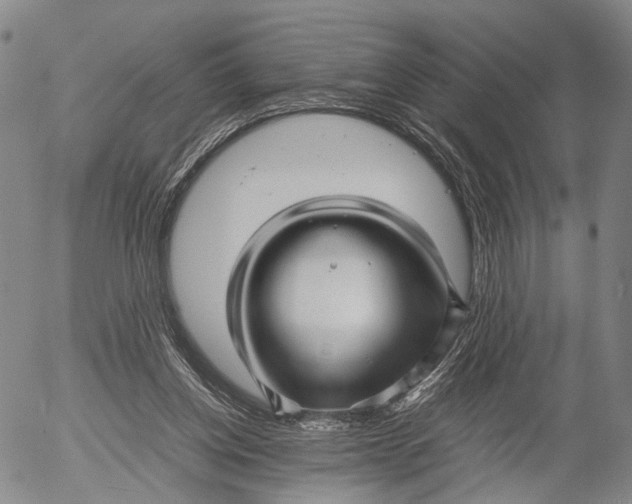 X0000052990158200507291626