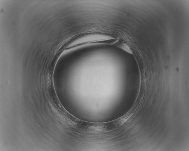 X0000052990164200507291626