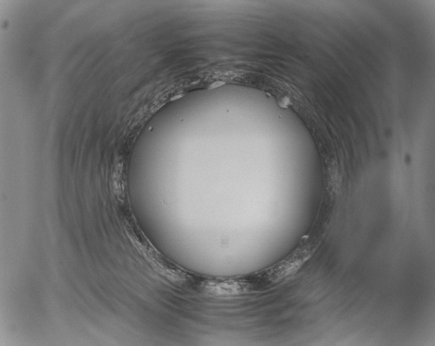 X0000052990181200507291626