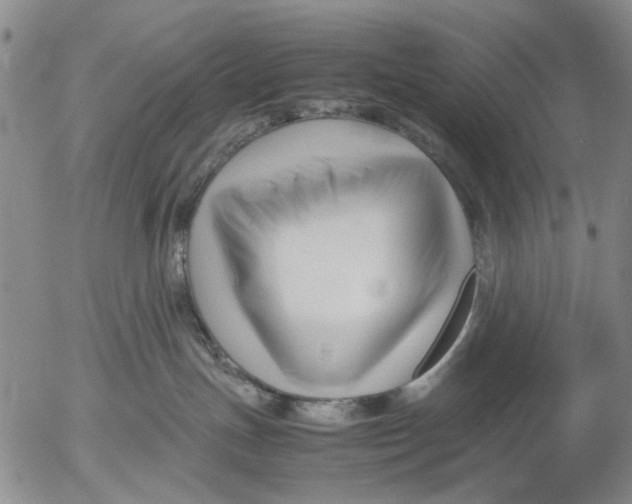 X0000052990191200507291626