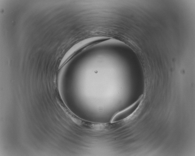 X0000052990192200507291626