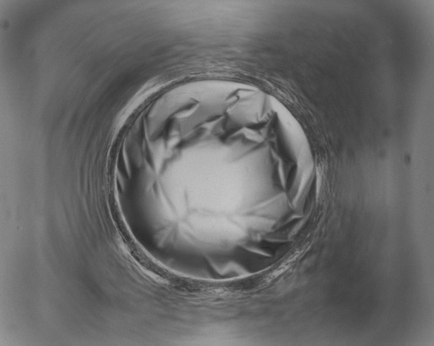 X0000052990195200507291625