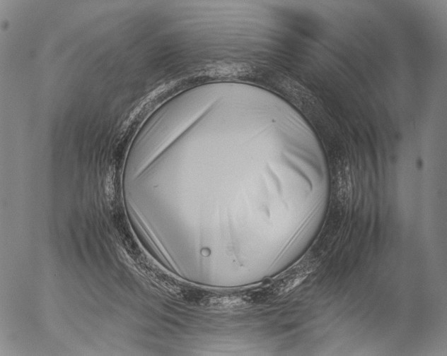 X0000052990208200507291625