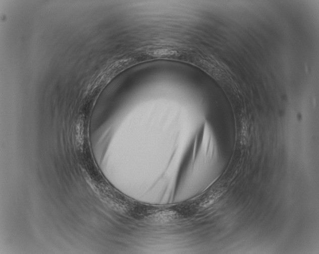X0000052990210200507291625
