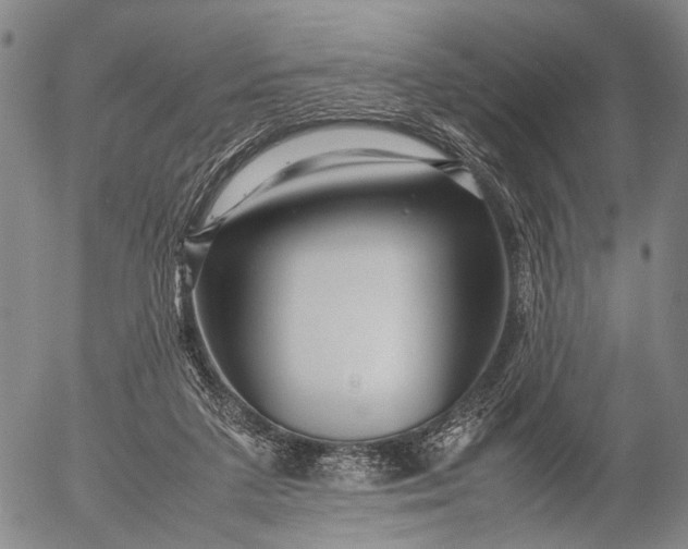 X0000052990211200507291625