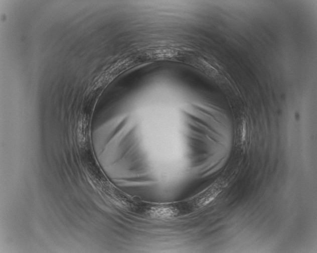 X0000052990218200507291625