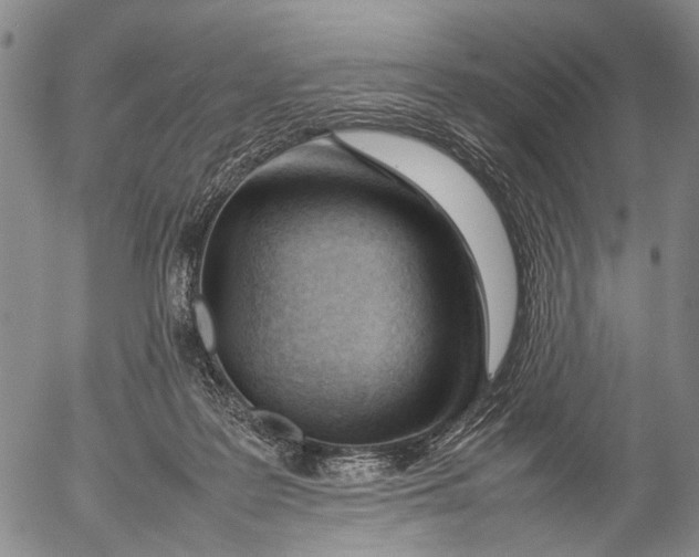 X0000052990219200507291625