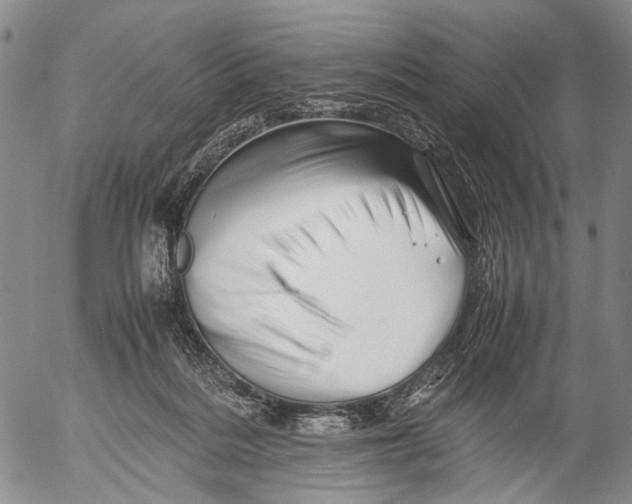 X0000052990220200507291625