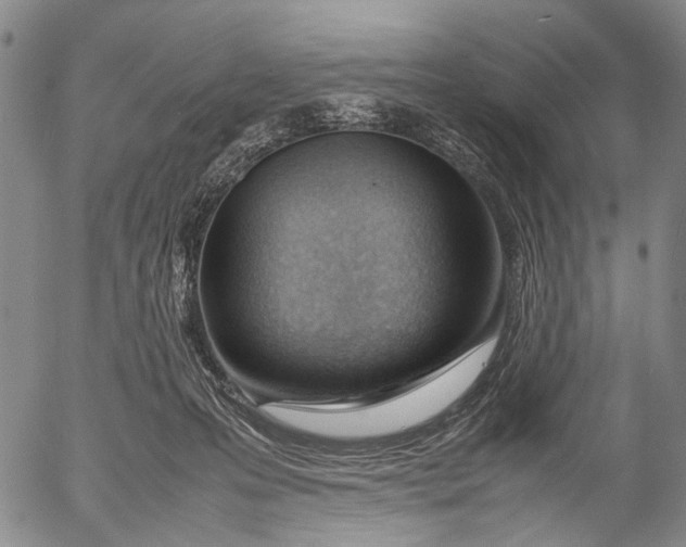 X0000052990223200507291625