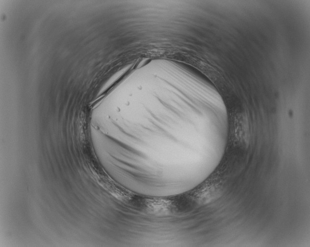 X0000052990226200507291625