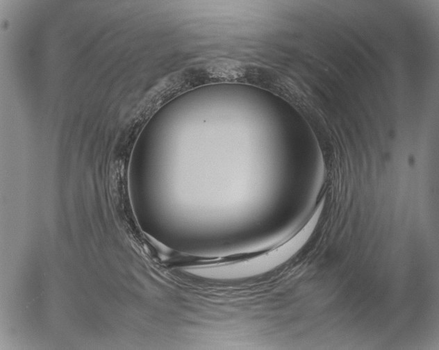 X0000052990229200507291625